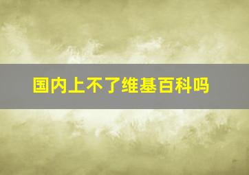 国内上不了维基百科吗