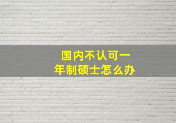 国内不认可一年制硕士怎么办