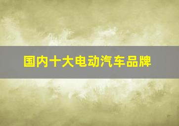 国内十大电动汽车品牌