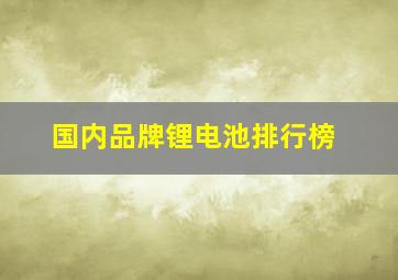 国内品牌锂电池排行榜