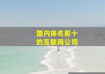 国内排名前十的互联网公司