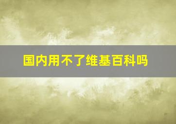 国内用不了维基百科吗