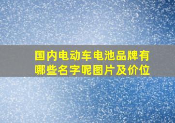 国内电动车电池品牌有哪些名字呢图片及价位