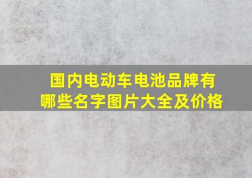 国内电动车电池品牌有哪些名字图片大全及价格