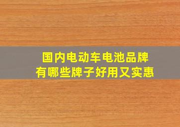 国内电动车电池品牌有哪些牌子好用又实惠