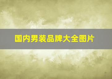 国内男装品牌大全图片