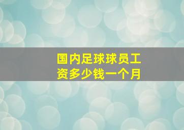 国内足球球员工资多少钱一个月