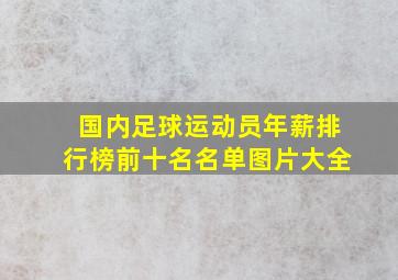 国内足球运动员年薪排行榜前十名名单图片大全