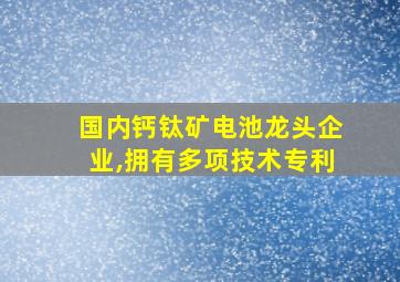 国内钙钛矿电池龙头企业,拥有多项技术专利