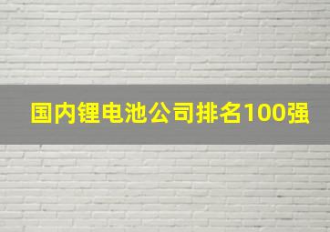 国内锂电池公司排名100强