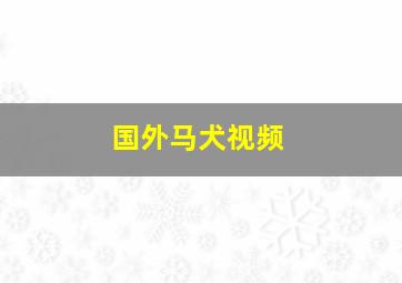 国外马犬视频