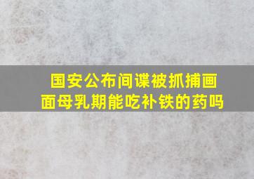 国安公布间谍被抓捕画面母乳期能吃补铁的药吗