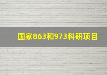 国家863和973科研项目