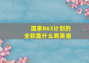 国家863计划的全称是什么呢英语