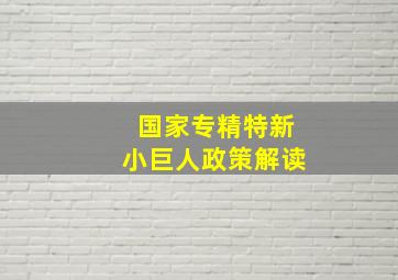 国家专精特新小巨人政策解读