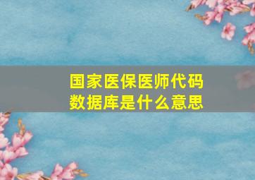 国家医保医师代码数据库是什么意思