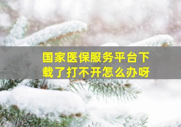 国家医保服务平台下载了打不开怎么办呀