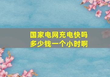 国家电网充电快吗多少钱一个小时啊