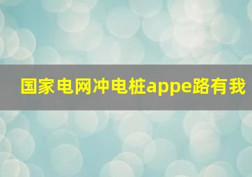 国家电网冲电桩appe路有我