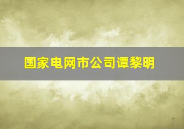 国家电网市公司谭黎明