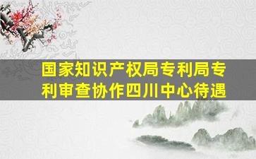 国家知识产权局专利局专利审查协作四川中心待遇