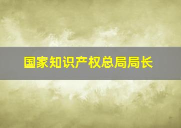 国家知识产权总局局长