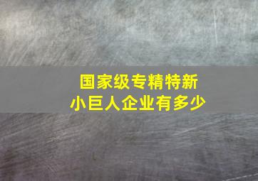 国家级专精特新小巨人企业有多少