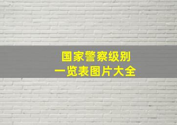 国家警察级别一览表图片大全