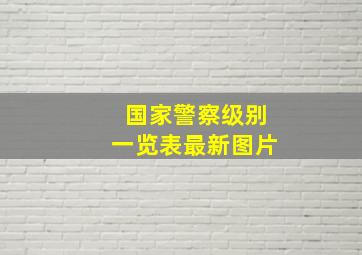 国家警察级别一览表最新图片