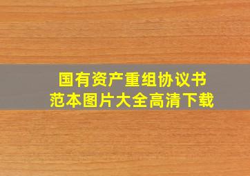 国有资产重组协议书范本图片大全高清下载