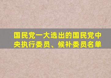 国民党一大选出的国民党中央执行委员、候补委员名单