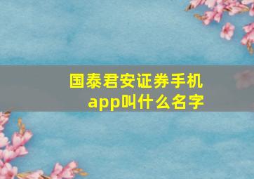 国泰君安证券手机app叫什么名字