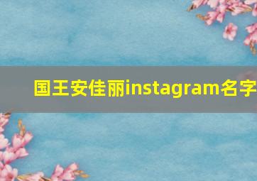 国王安佳丽instagram名字