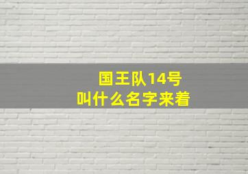 国王队14号叫什么名字来着