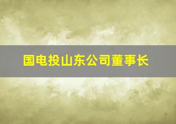 国电投山东公司董事长