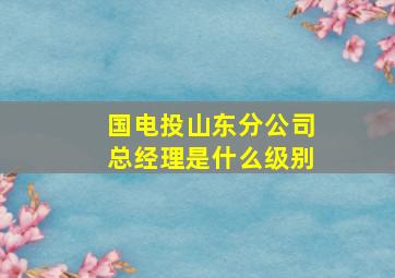 国电投山东分公司总经理是什么级别