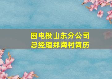 国电投山东分公司总经理郑海村简历