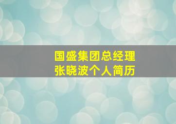 国盛集团总经理张晓波个人简历