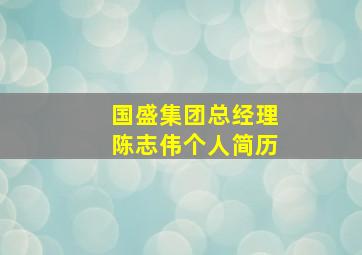 国盛集团总经理陈志伟个人简历