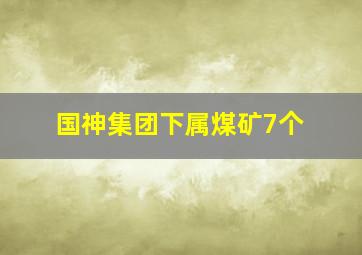 国神集团下属煤矿7个