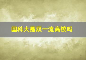 国科大是双一流高校吗