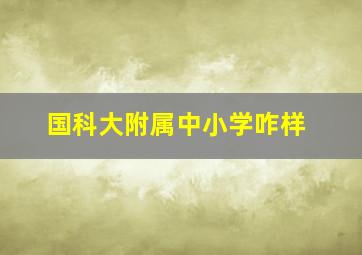 国科大附属中小学咋样