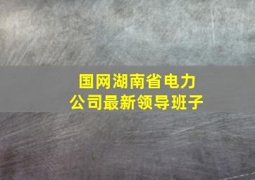 国网湖南省电力公司最新领导班子