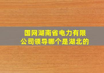 国网湖南省电力有限公司领导哪个是湖北的