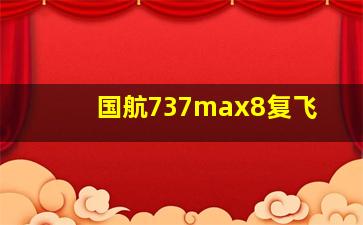 国航737max8复飞