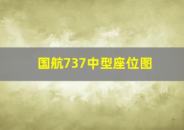 国航737中型座位图