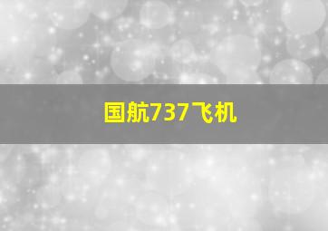 国航737飞机