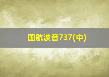 国航波音737(中)