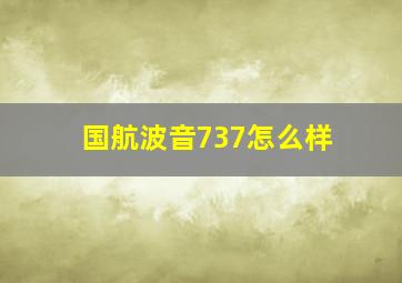 国航波音737怎么样