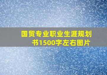 国贸专业职业生涯规划书1500字左右图片